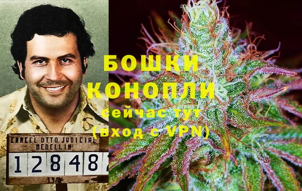 спиды Армянск